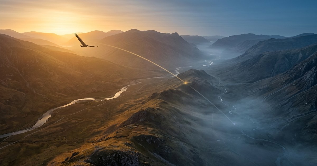 A single bird gliding calmly from warm golden sunlight into the cool misty valley toward a precise target
